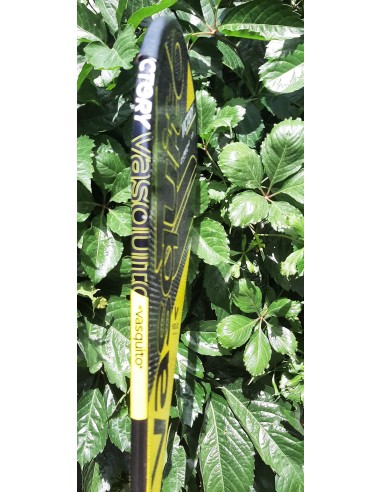 Paletón Vasquito VICTORY Carbono